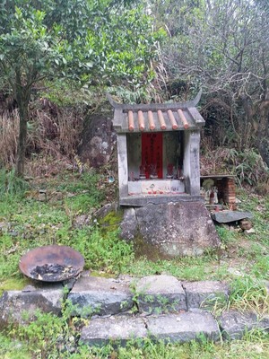 福安廉岭~穆阳虎头村桃花~溪塔葡萄沟