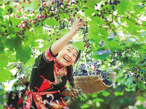 哇哦 宁德乡村如今这样美