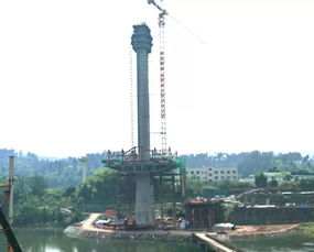 聚焦民生工程 罗江大桥 野茅溪大桥最新进展