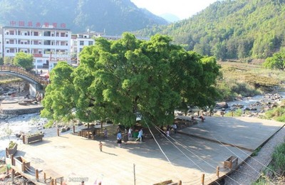 溪塔葡萄沟图片素材