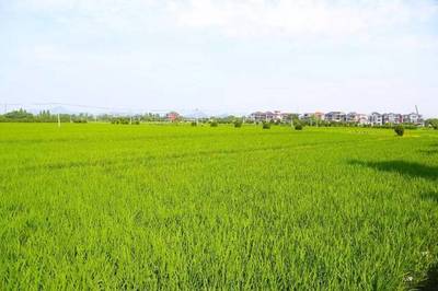 美丽乡村│溪塔村:一幅印染于世的民俗风情画