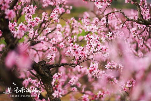 宋理宗赐名的福建沿海小城,100多处风光美不胜收,令人流连忘返