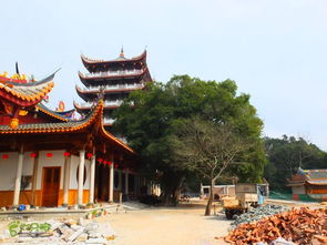 魁岐 芙蓉溪 般若庵 东线 绝顶峰 古栈道 涌泉寺 下院殿塔树