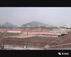 巢湖市亚父路跨裕溪河特大桥进展顺利 塔柱全部封顶