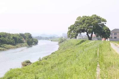 美丽乡村│溪塔村:一幅印染于世的民俗风情画