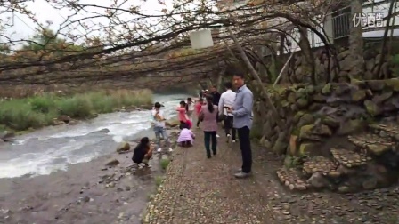 探秘溪塔葡萄沟 绿水青山间的甜蜜乐园