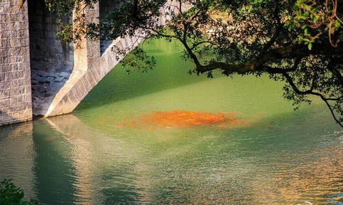 当我们老了，一起回福安溪塔村，做这些温暖的小事