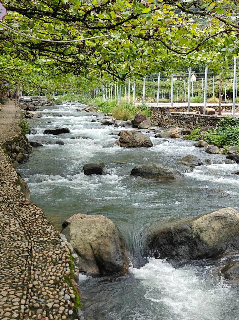 南国最美葡萄沟 福安溪塔