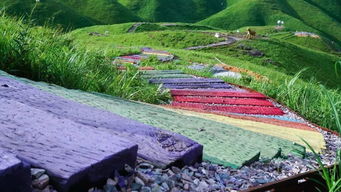 柘荣鸳鸯草场、福安白云山、溪塔葡萄沟、廉村古民居、古马头客栈2日游