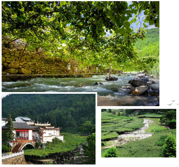 福地寻福·我的家乡我来推 | 穆云畲族乡:等待你来探寻的宝藏之地 溪塔