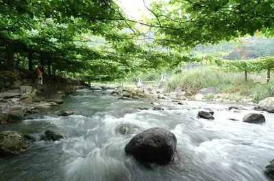 去有风的地方，我在福安溪塔等你！
