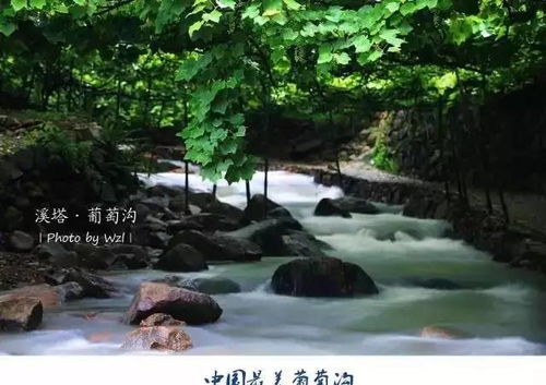 高考结束撒欢去！福安溪塔周边游好去处，记得领优惠门票哦