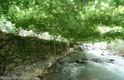 溪塔葡萄沟 藏在闽东的“江南吐鲁番”