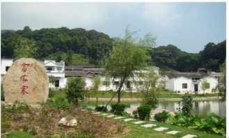 妙笔生花绘美景 特色村寨焕新颜——溪塔村的振兴图景